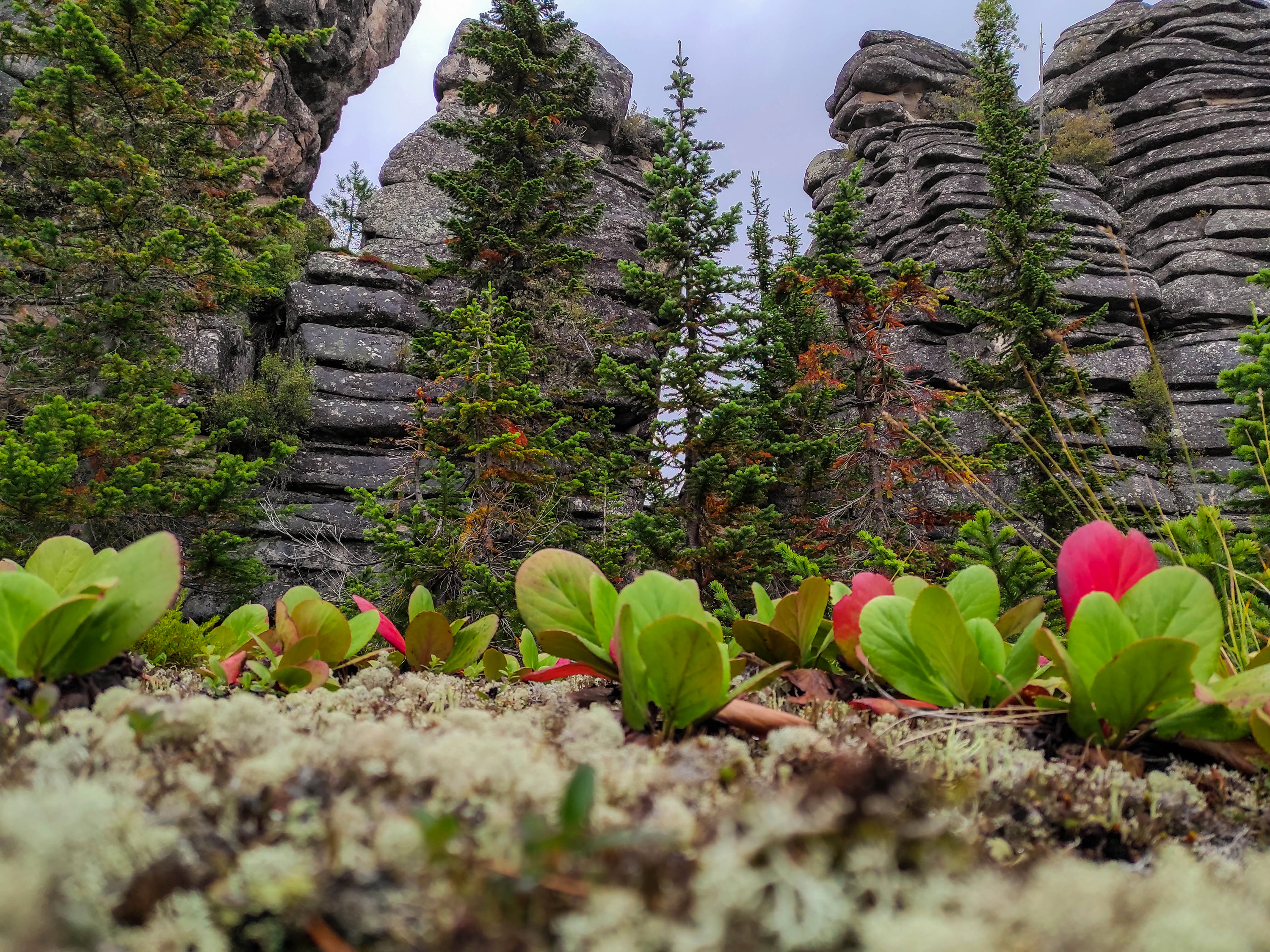 Стены Каменного города