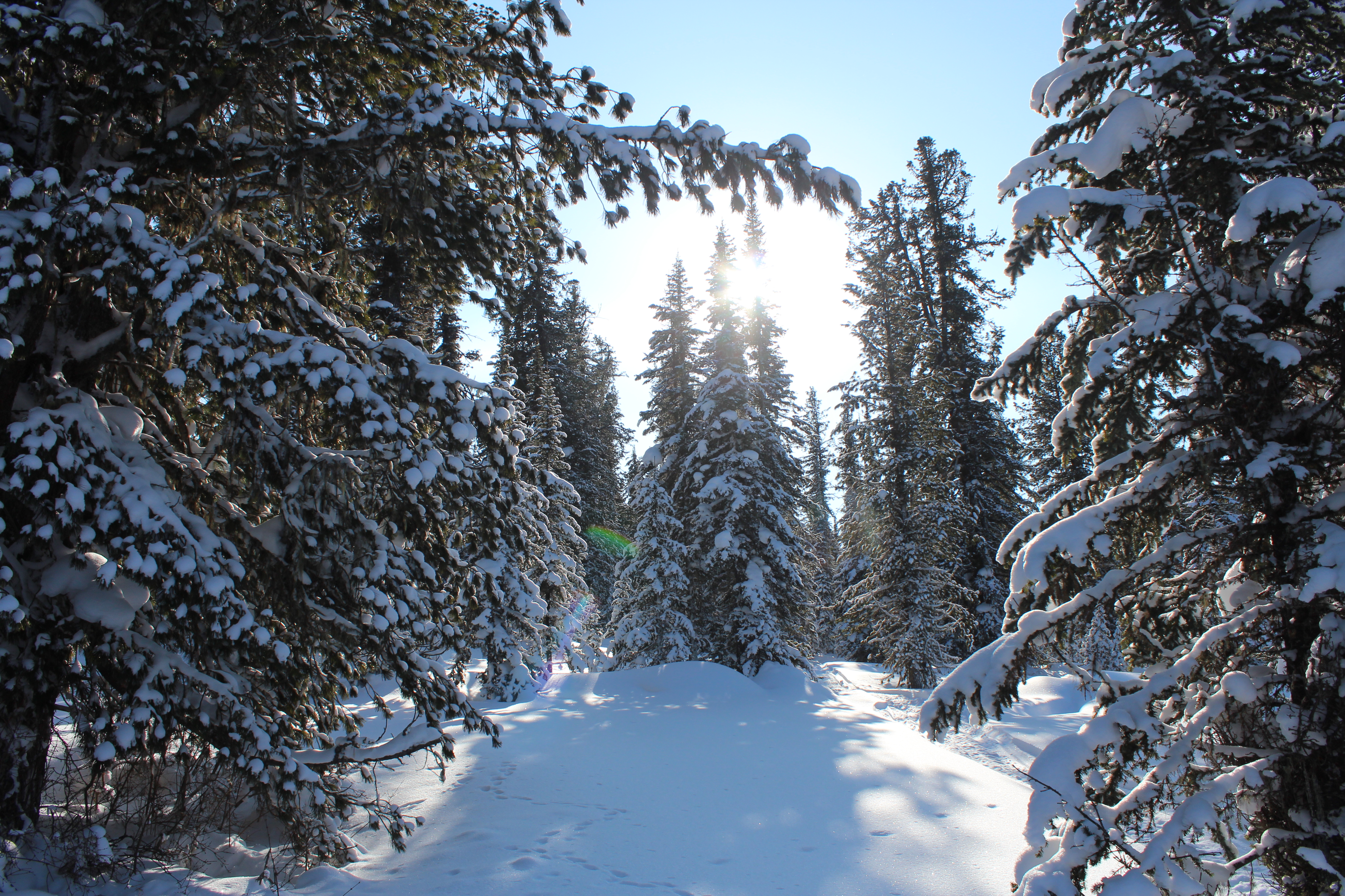 Расширение природного парка «Ергаки»