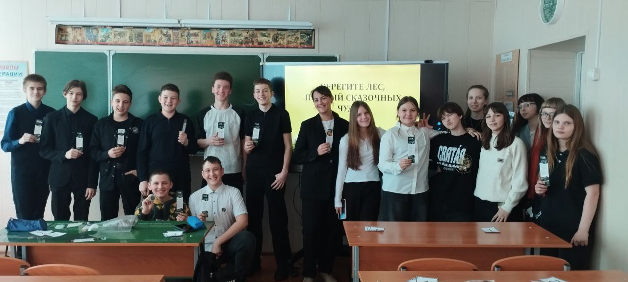 Лес полный сказочных чудес