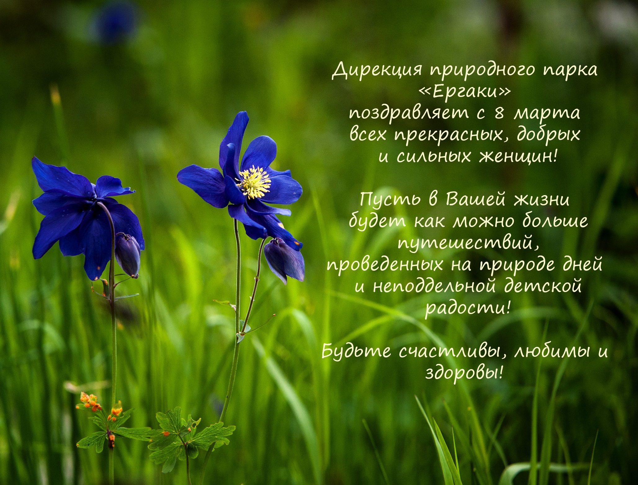 С международным женским днём!