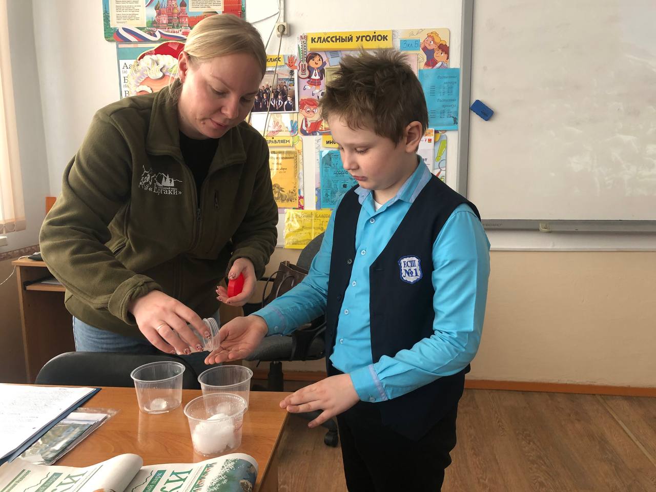 Зимние загадки природы