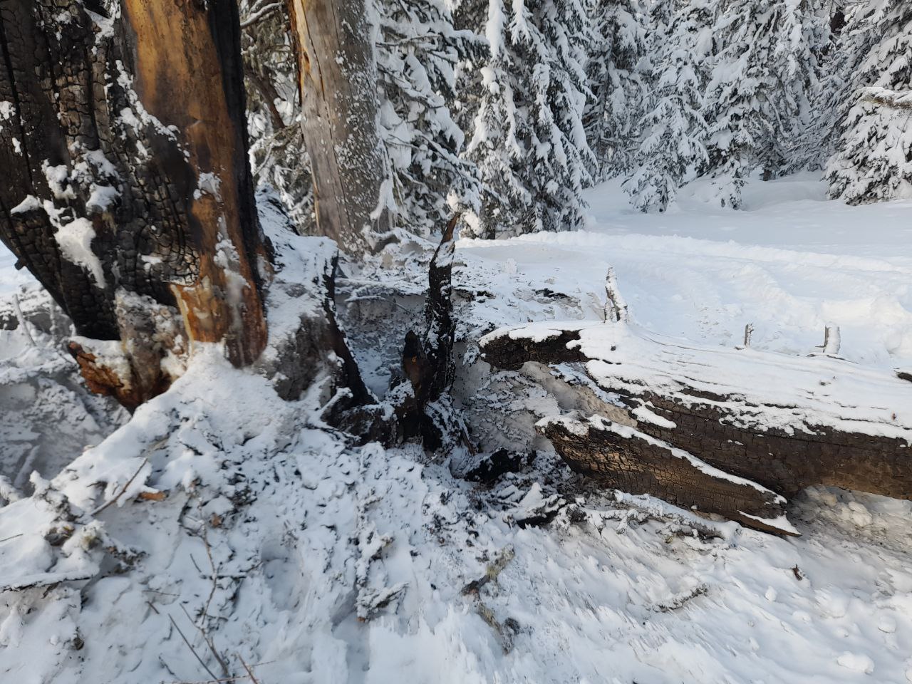 Предотвращен пожар в парке Ергаки