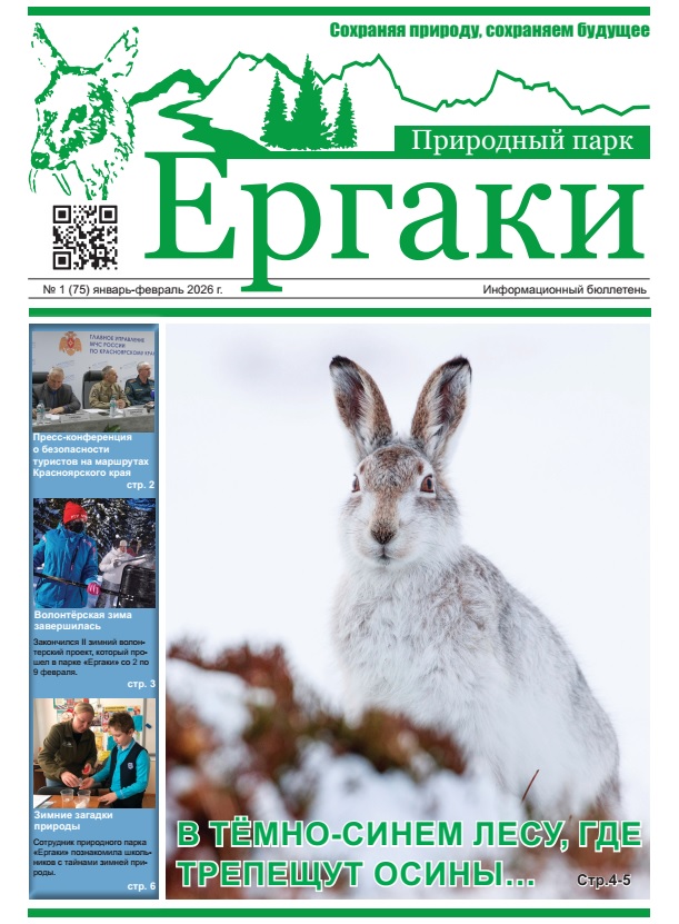 На сайте размещен новый выпуск информационного бюллетеня январь - февраль 2026 года