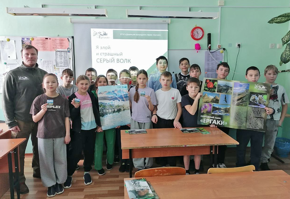 Школьникам о сером волке