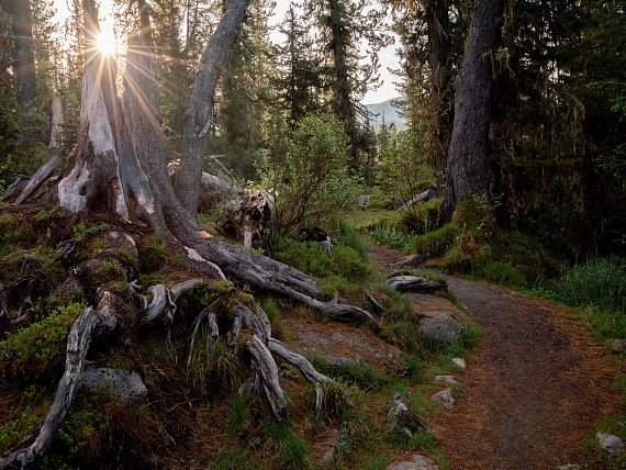 Утро в Ергаках